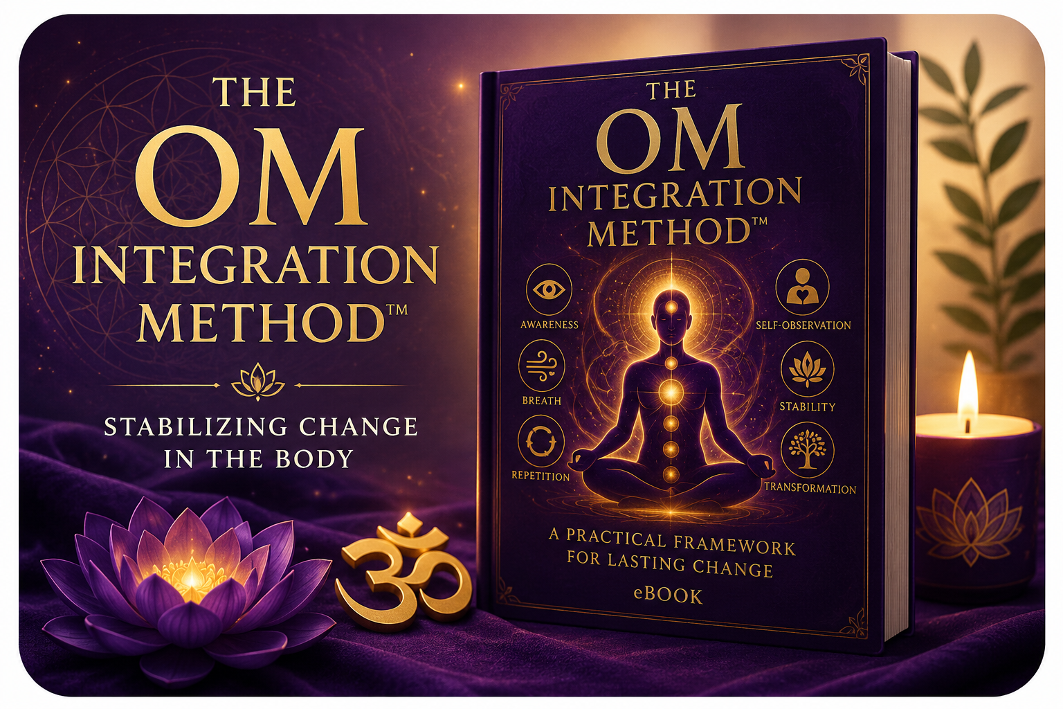 OM Integration Method framework eBook