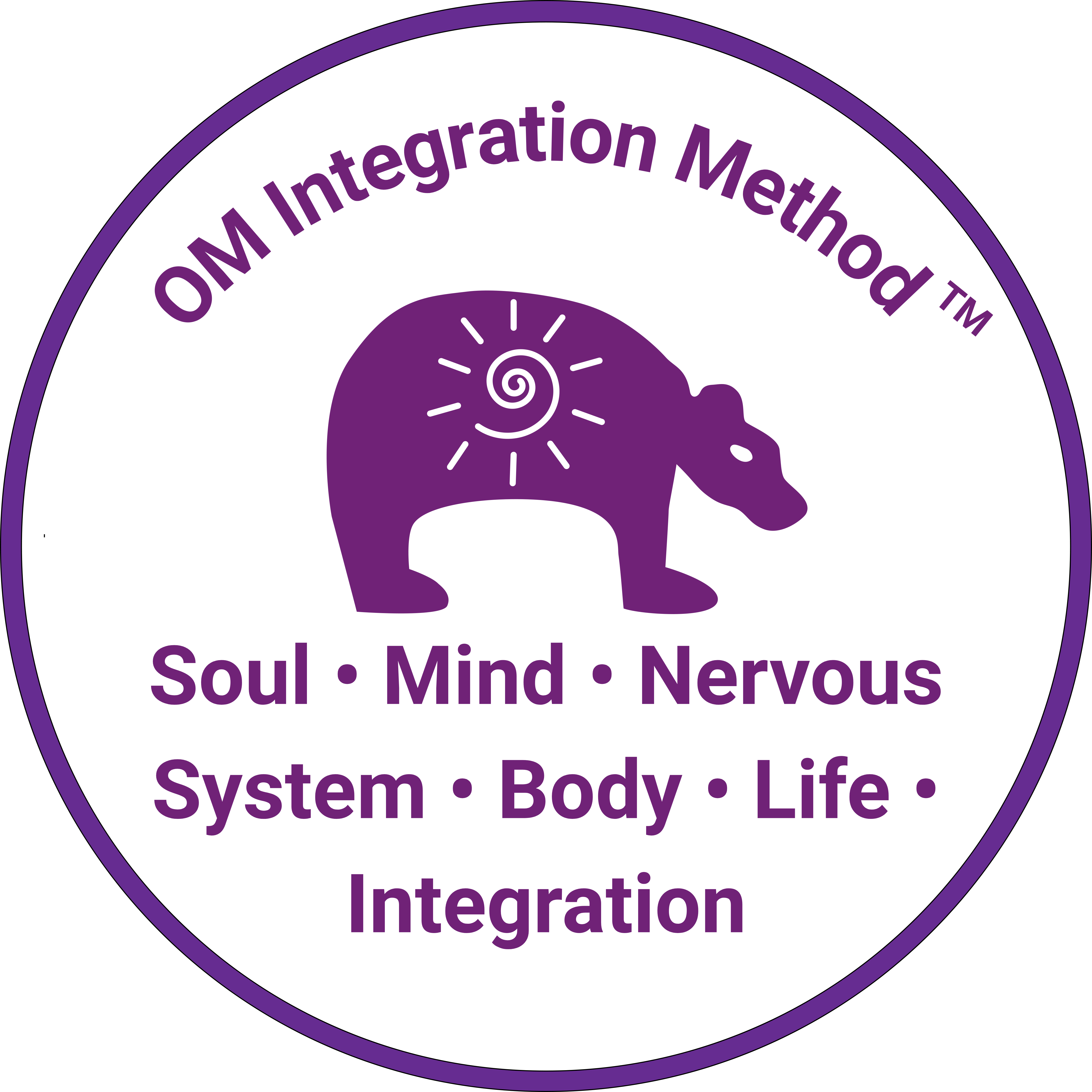 OM Integration Method program image