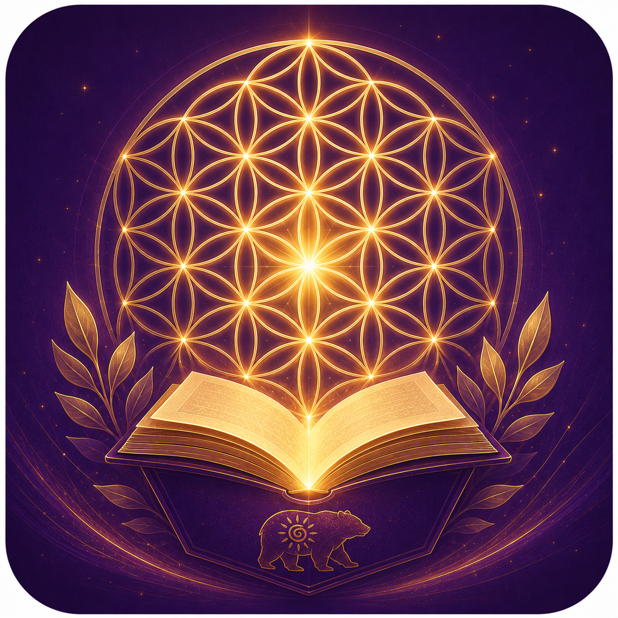 Classes and educational resources